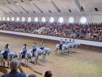 Jerez de la Frontera: Königliche Hofreitschule