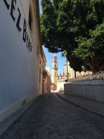 Jerez de la Frontera: Kathedrale
