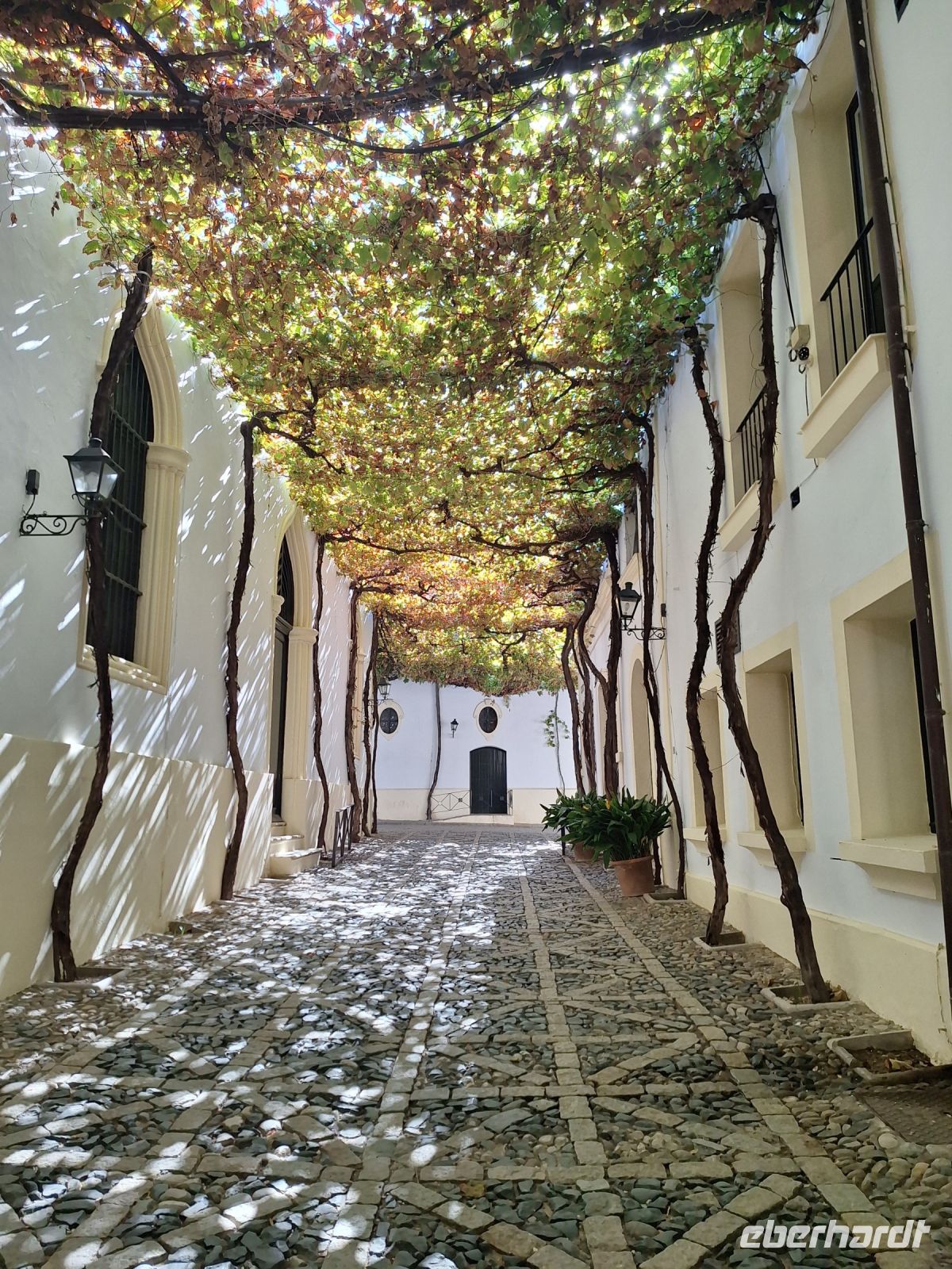 Jerez de la Frontera: Bodega Gonzales-Byass