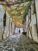 Jerez de la Frontera: Bodega Gonzales-Byass