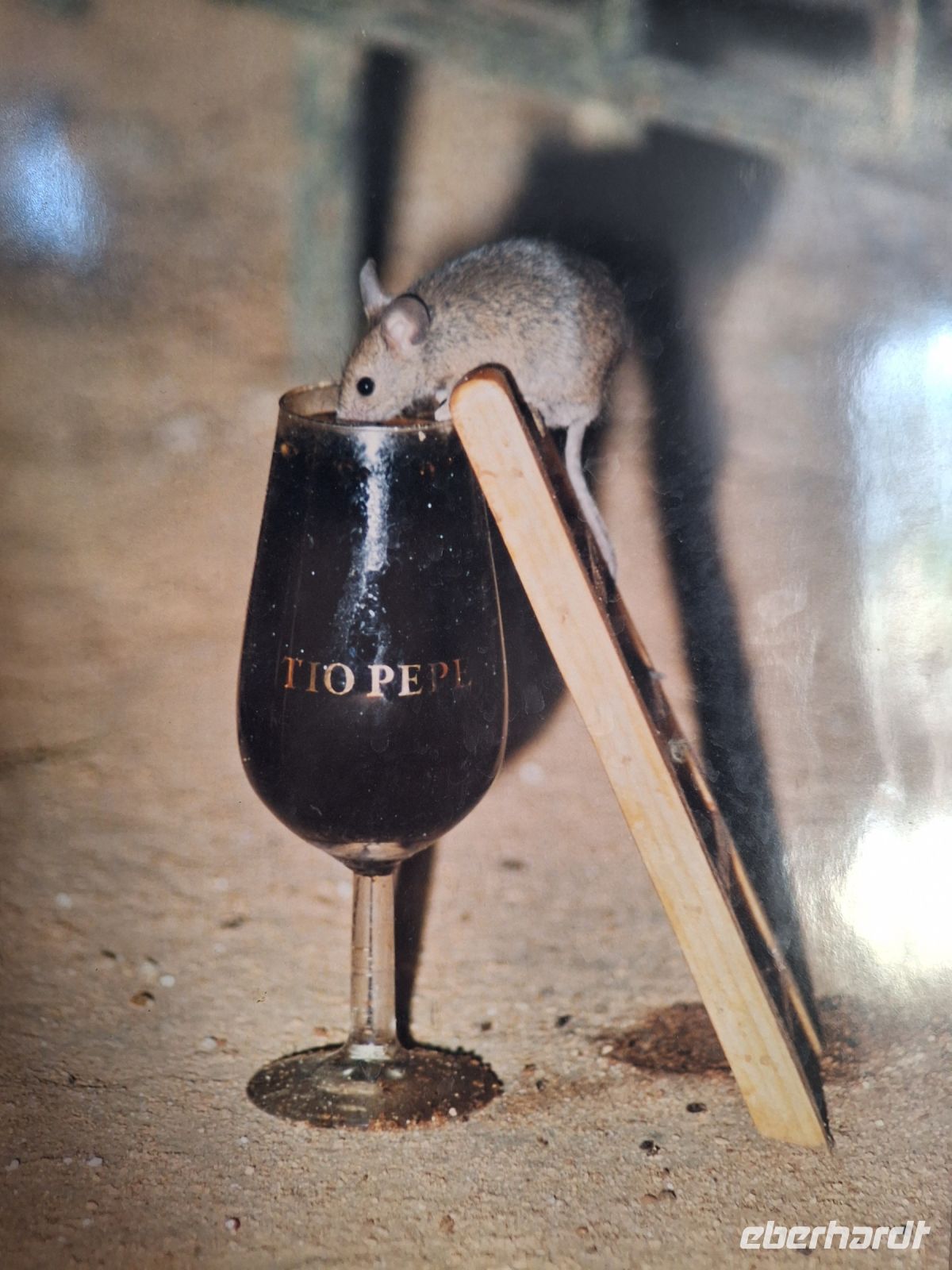 Jerez de la Frontera: Bodega Gonzales-Byass
