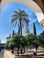 Cordoba - Blick in den Orangengarten mit Minarett.jpg