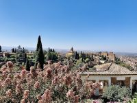 Blick auf Alhambra.jpg
