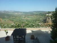 Don Bosco scheint gewusst zu haben, wie man lebt