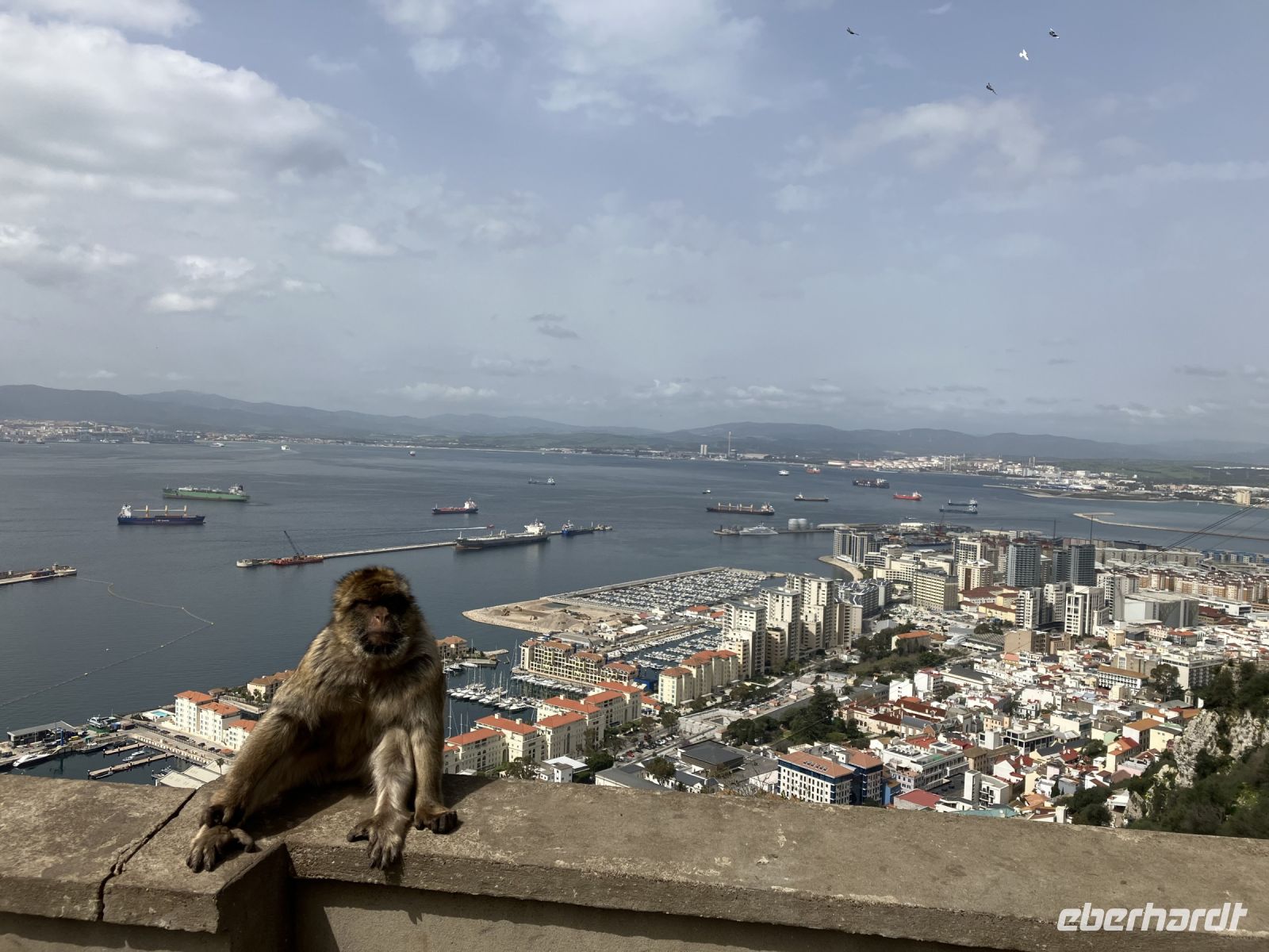 Gibraltar, Blick auf die Stadt