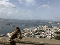 Gibraltar, Blick auf die Stadt