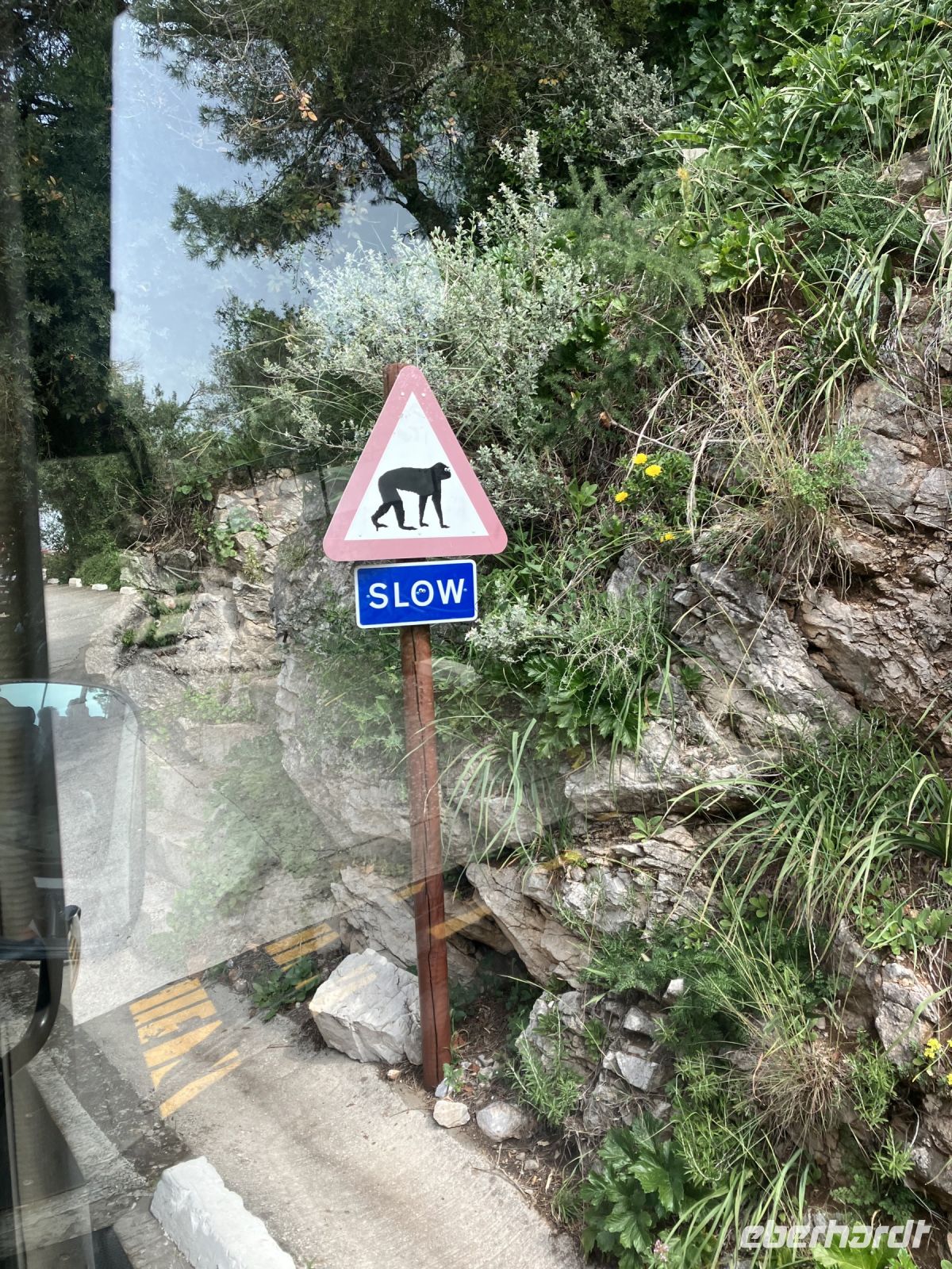 Gibraltar, Achtung, Affen!