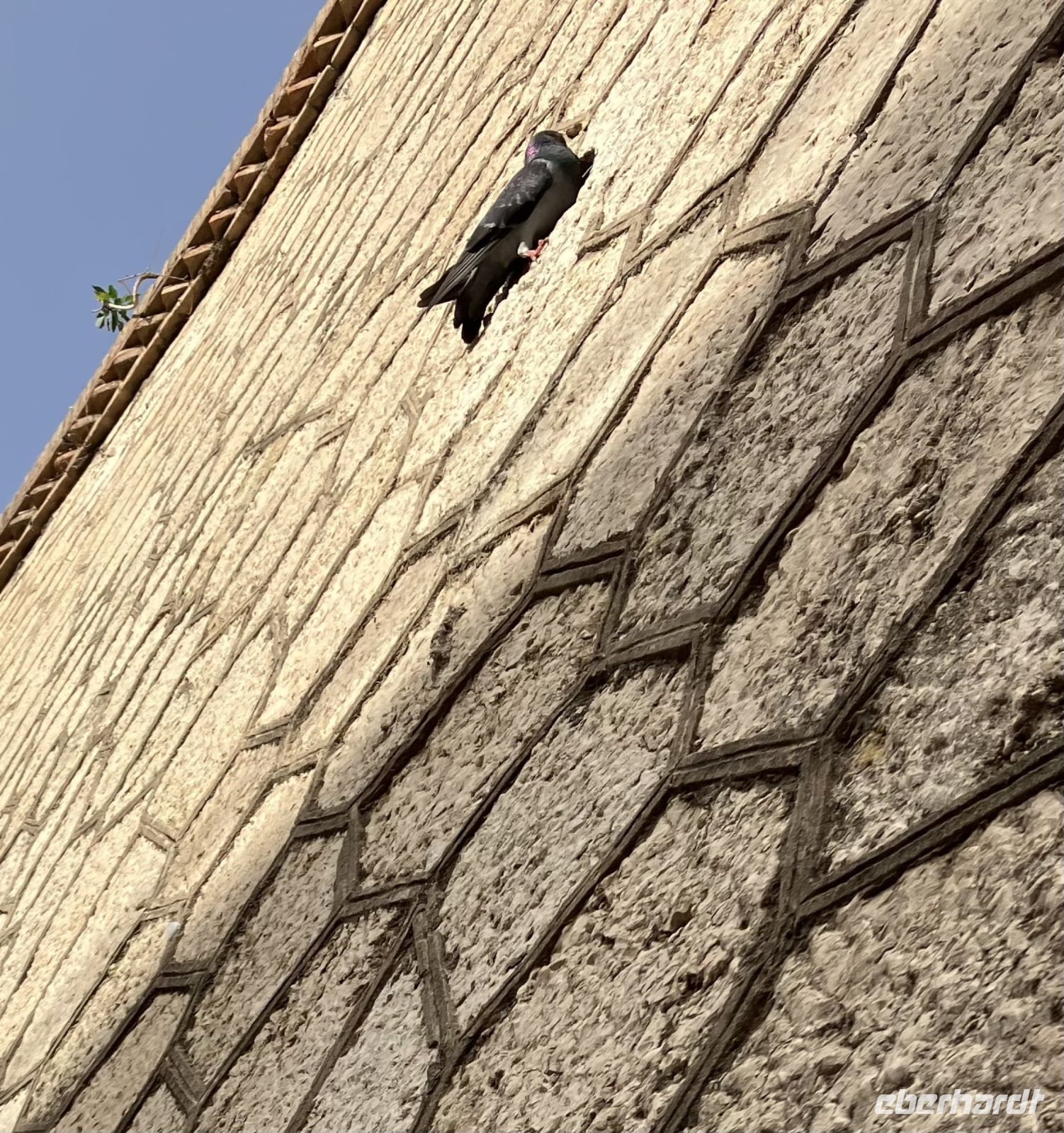 Spanien, Málaga, Impressionen