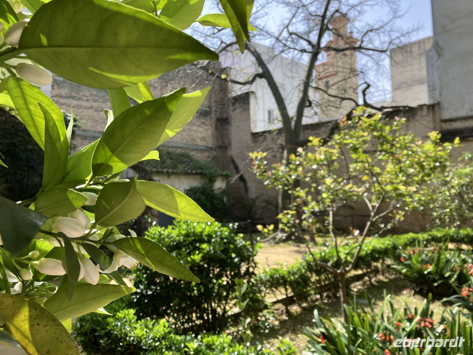 Spanien, Sevilla, Gärten von Sevilla