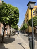 Spanien, Sevilla, Allee der Pomeranzenbäume