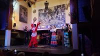 Flamenco Show im 
