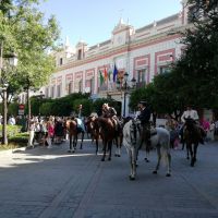 Eine Prozession wird uns durch Sevilla begleiten