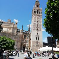 Die Kathedrale von Sevilla