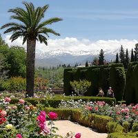 Die schneebedeckte Sierra Nevada