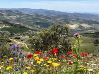 Anfahrt nach El Torcal