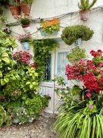 Granada - im Albaicin