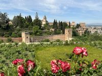  Alhambra - Blick von den Generalife Gärten