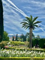 in der Alhambra - die Rosengärten im Mai