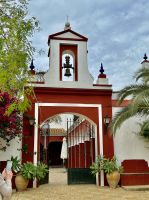 Olivenöl-Hacienda Basilippo