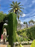 Sevilla - Garten im Real Alcazar