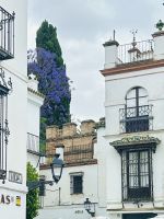 Sevilla - im Judenviertel