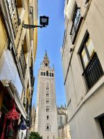 Sevilla - Blick auf La Giralda
