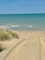im Doñana Nationalpark - in den Dünen