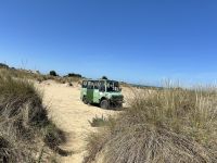 im Doñana Nationalpark -  Wanderdünen