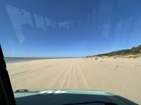 im Doñana Nationalpark - 28km Naturstrand