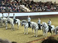 zwei Ladies sind auch dabei!