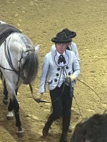 Kunst von Ross und Reiter