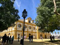 Jerez - Königlich-andalusische Reitschule