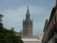 Schon von weitem konnten wir die Giralda sehen