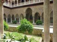 Die Orangenbäume wurden originalgetreu wieder eingepflanzt, haben allerdings ihre volle Größe noch längst nicht erreicht