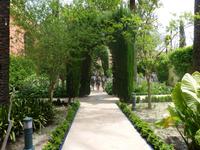 Unübertroffen ist natürlich der Garten der Alcazar