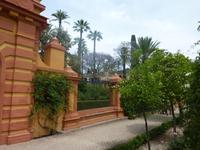 Wichtig auch die Obstbäume in den Gärten