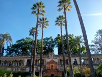 Garten Real Alcázar