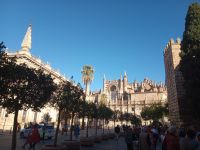 Blick auf Kathedrale 