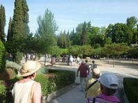 Auf den Tag in der Alhambra freuten wir uns alle ganz besonders.