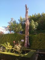 Liebesglückbringender Baum 