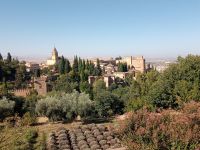 Alhambra 