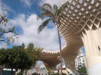 Metropol Parasol 