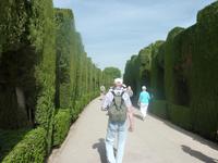 Aus den Hecken hatte man kleine Sichtfenster herausgearbeitet