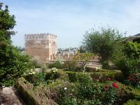 Weit entfernt schimmern weiß die Häuser auf dem Albaicin herüber