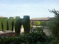 Auch hier wieder überall Sichtfenster in den Hecken