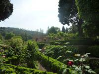 Ein sehr schönes Stückchen Erde