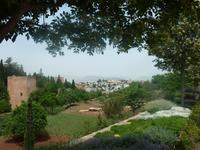 Wir kamen wieder zum Ausgangspunkt, gingen dann aber in Richtung Generalife