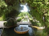 Und vor allem auch sehr sehr grün