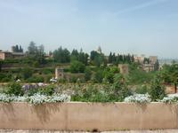 Die Aussicht auf die Alhambra war vom Generalife aus auch unbeschreiblich