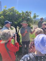 Spanien, Malaga, Zitrusfruchtplantage Juanito Orange